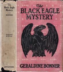 The Black Eagle Mystery