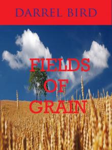 Fields Of Grain