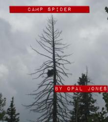 Camp Spider Read online