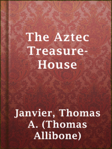 The Aztec Treasure-House Read online