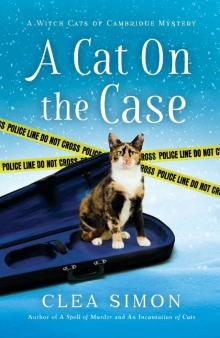 A Cat on the Case Read online