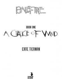 A Chalice of Wind Read online