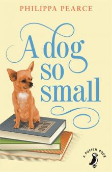 A Dog So Small Read online