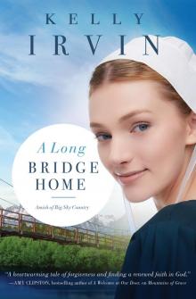 A Long Bridge Home Read online