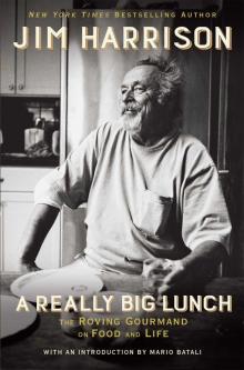 A Really Big Lunch: Meditations on Food and Life From the Roving Gourmand Read online