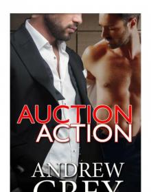 Auction Action Read online