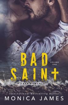Bad Saint (All The Pretty Things Trilogy Volume 1)