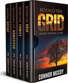 BEYOND THE GRID BOX SET: The Complete Beyond The Grid series (book 1-4) Read online