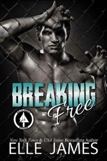 Breaking Free (Delta Force Strong Book 4) Read online