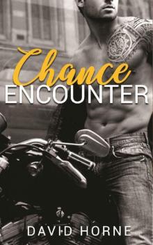 Chance Encounter Read online