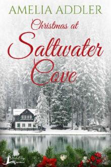 Christmas at Saltwater Cove: a Westcott Bay novella Read online