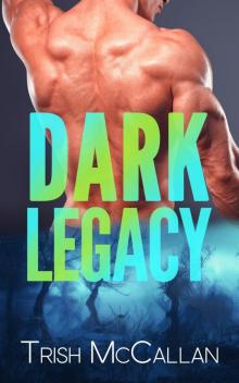 Dark Legacy: (Dark Falls, CO Romantic Thriller Book 3)