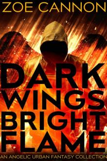Dark Wings, Bright Flame Read online