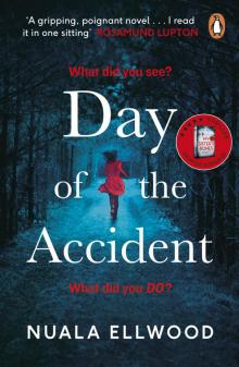 Day of the Accident Read online