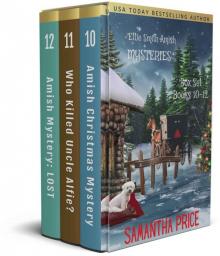 Ettie Smith Amish Mysteries Box Set 4 Read online