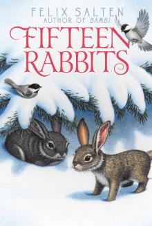 Fifteen Rabbits Read online