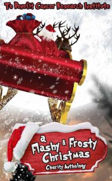 Flashy & Flirty Christmas Anthology Read online