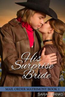 His Surprise Bride (Mail Order Matrimony Book 1) Read online