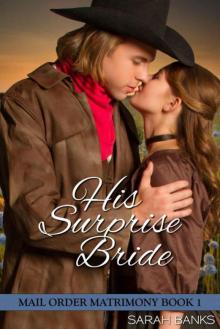 His Surprise Bride (Mail Order Matrimony Book 1)