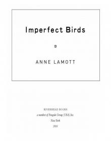 Imperfect Birds Read online