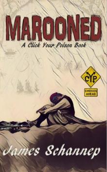 MAROONED: Will YOU Endure Treachery and Survival on the High Seas? (Click Your Poison) Read online