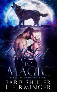 Mated To Magic (Stark Creek Shifters Book 1) Read online
