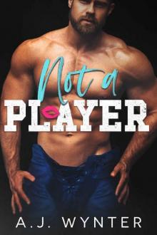 Not a Player (Laketown Hockey Book 1) Read online