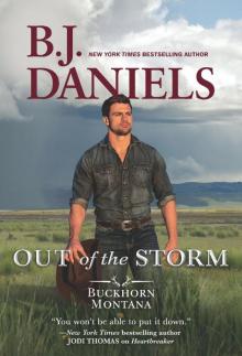 Out of the Storm Read online