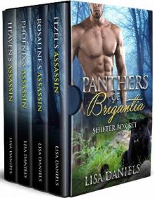 Panthers of Brigantia Shifter Box Set