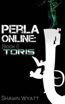 Perla Online, Book One: Toris (A LitRPG/GameLit Adventure)