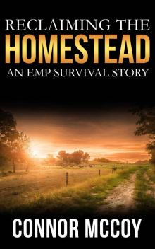 Reclaiming The Homestead: An EMP Survival story (BEYOND THE GRID Book 3) Read online