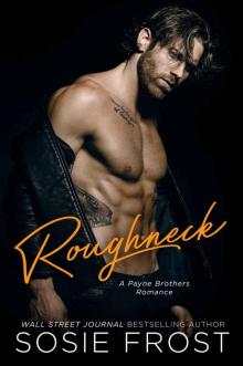 Roughneck: A Payne Brothers Romance Read online