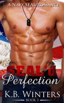 SEAL'd Perfection Book 3