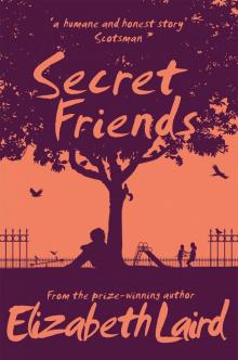 Secret Friends Read online