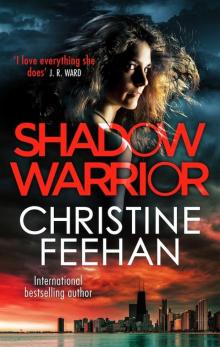 Shadow Warrior (The Shadow Series Book 4)