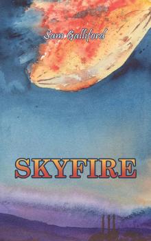 Skyfire Read online