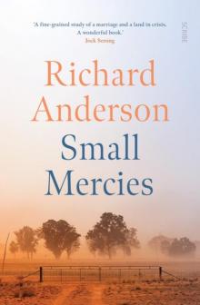 Small Mercies Read online