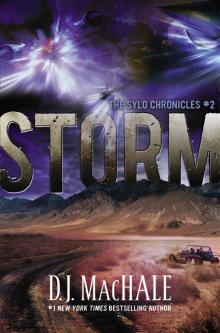Storm Read online