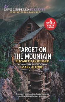 Target on the Mountain Read online