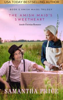 The Amish Maid's Sweetheart Read online