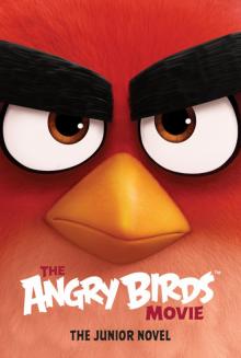 The Angry Birds Movie