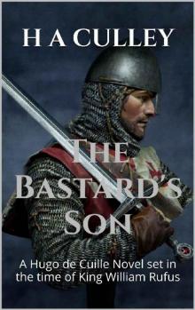 The Bastard's Son Read online