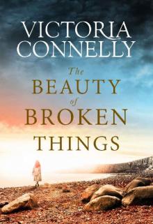The Beauty of Broken Things Read online