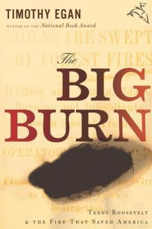The Big Burn: Teddy Roosevelt and the Fire That Saved America Read online