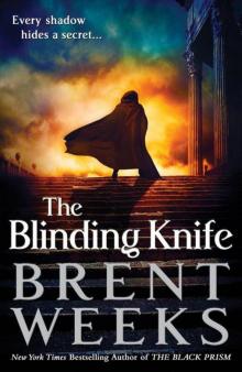 The Blinding Knife Read online