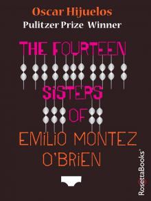 The Fourteen Sisters of Emilio Montez O'Brien Read online