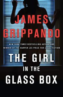 The Girl in the Glass Box: A Jack Swyteck Novel Read online