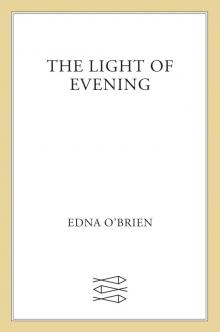 The Light of Evening Read online