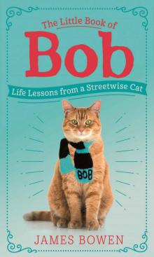 The Little Book of Bob Read online