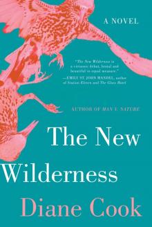 The New Wilderness Read online